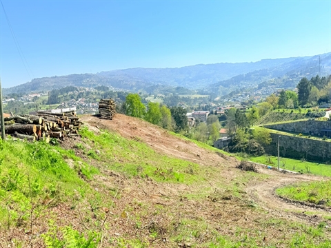 Real Estate building